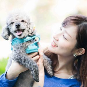 ペットローンとは？